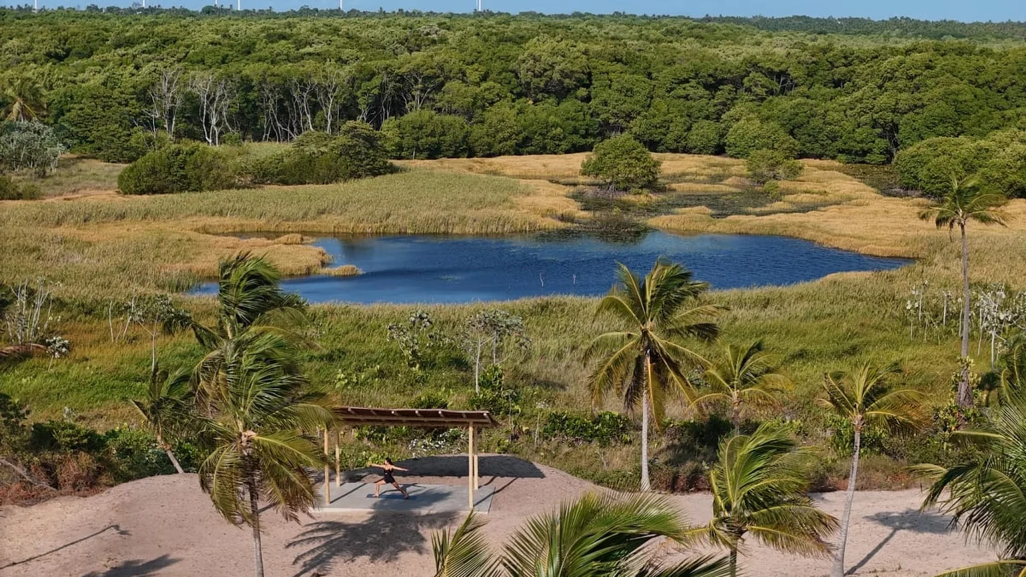 Area verde preservada com 23 mil m2 e 2500 arvores no Paradiso